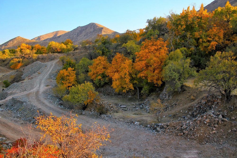 Photograph by Zohre sadat Lajevardi