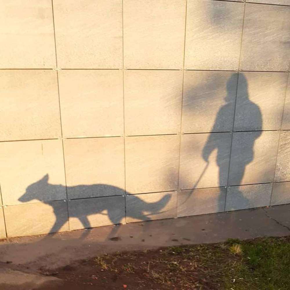 Shadows walk near the house.../ Гуляют тени возле дома...