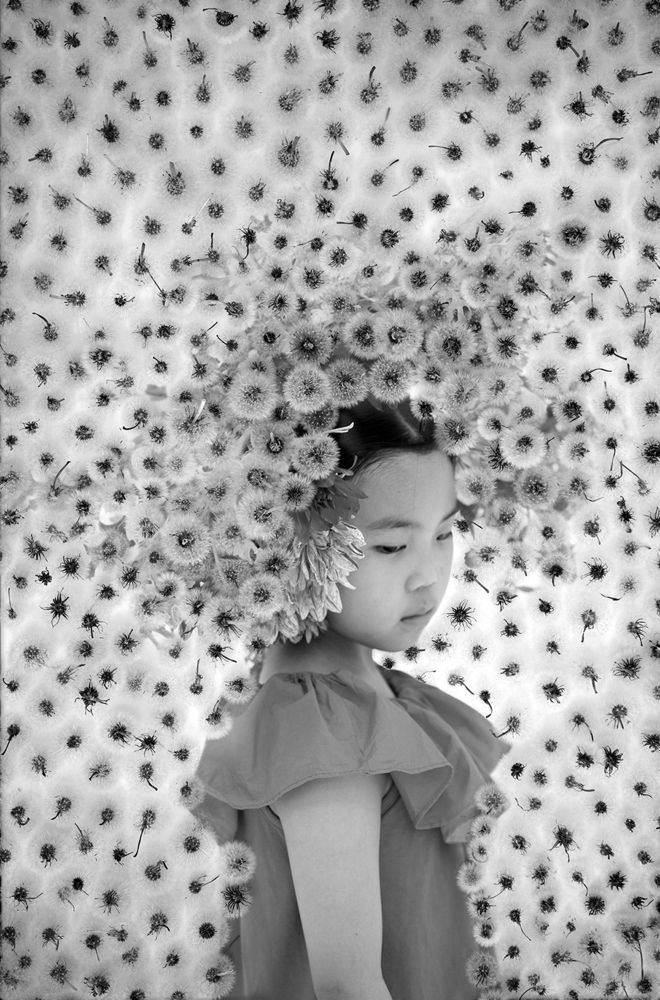 Photograph by Ziesook You