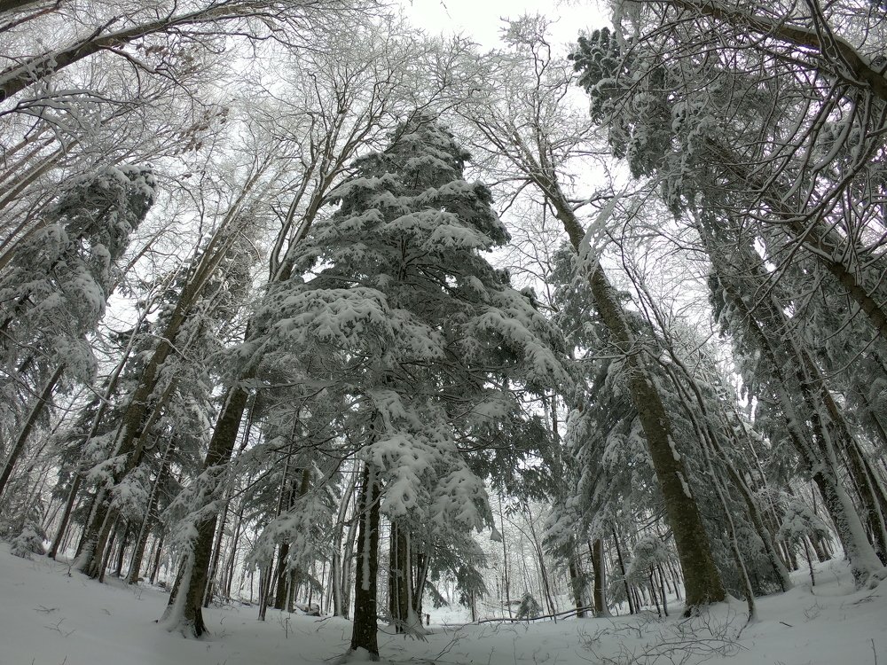 Photograph by Иван Ерезенко