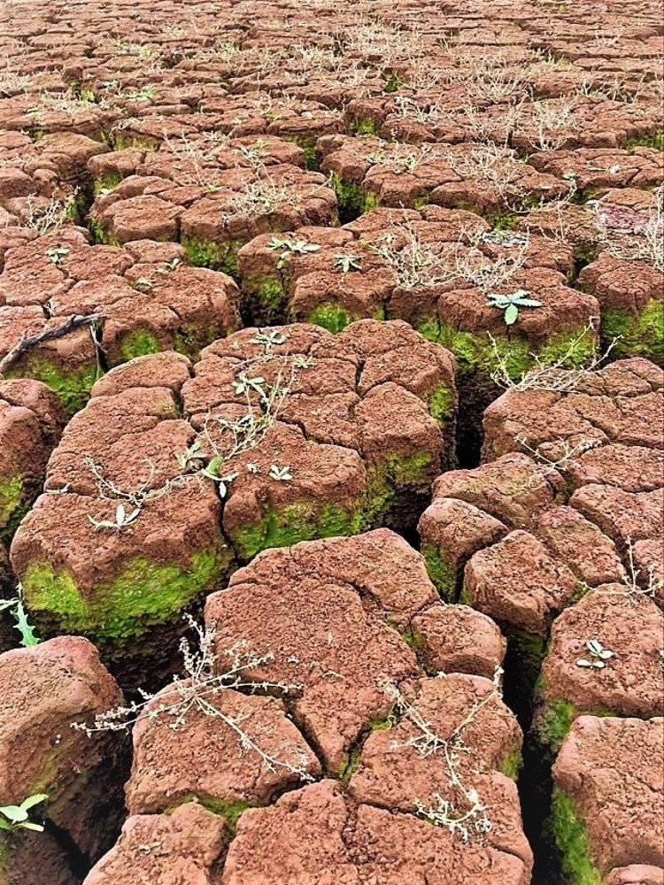 Photograph by Агнаев Андрей