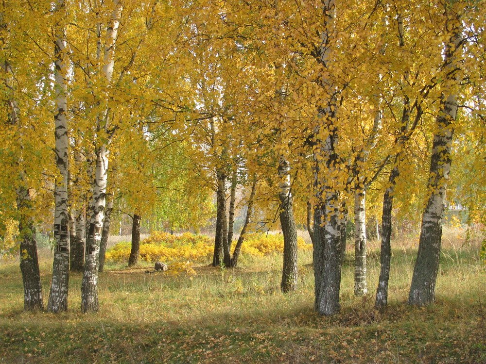 Photograph by Юлия