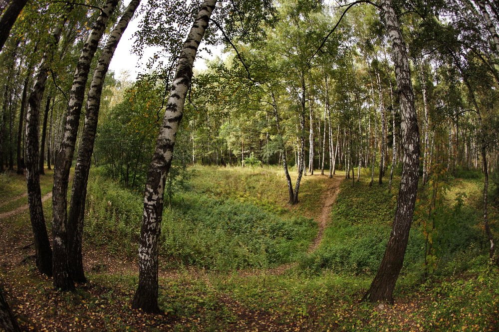 Photograph by Константин Лагоденко