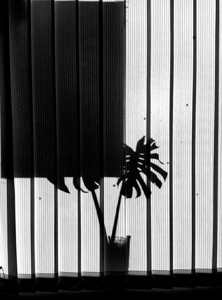 Photograph by Karina Yakovleva