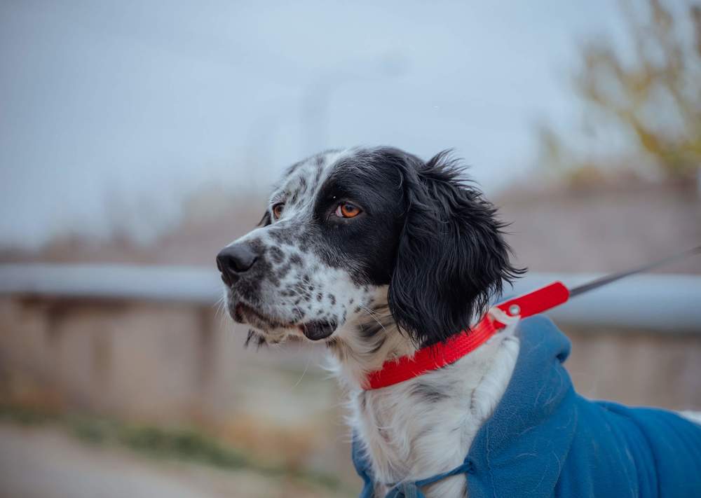 Photograph by David Adilkhanyan