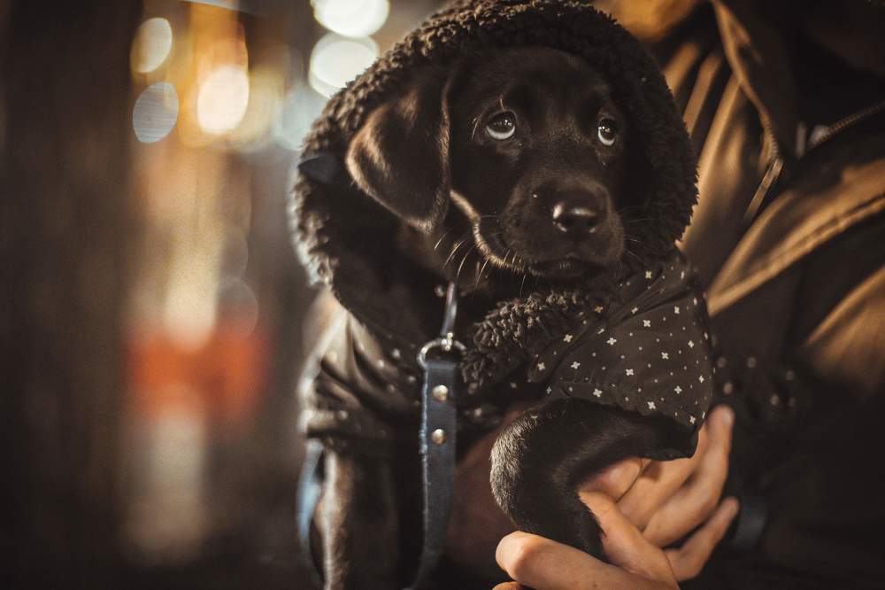 Photograph by David Adilkhanyan