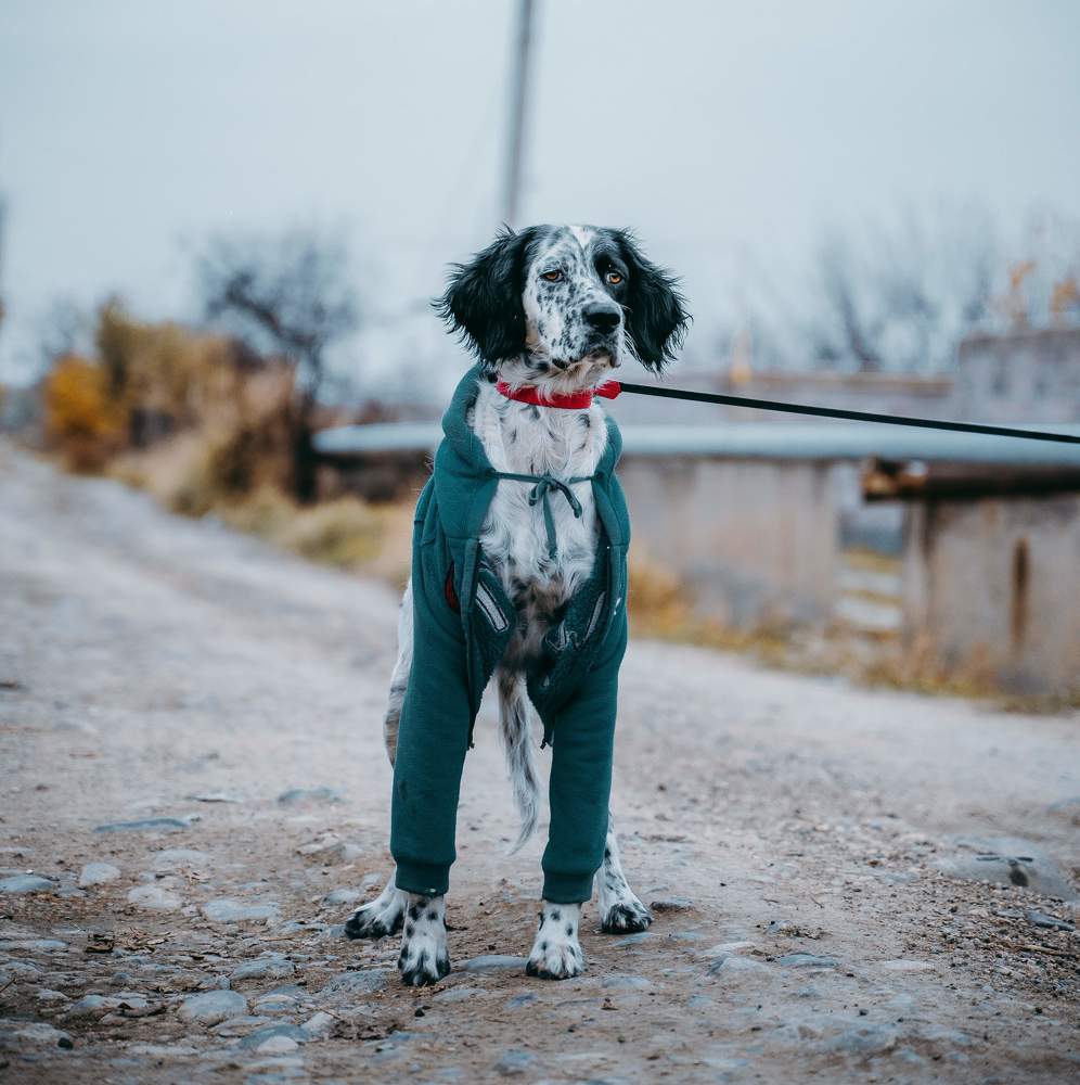 Photograph by David Adilkhanyan