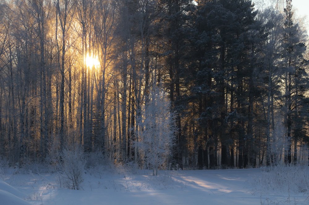 Photograph by Алексей Егорычев