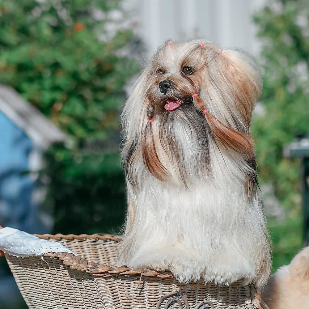 Фотография автора Anna NovaLova