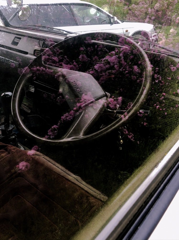 toyota sakura (no Japan)