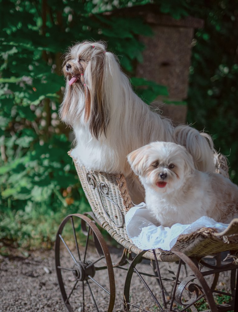 Фотография автора Anna NovaLova