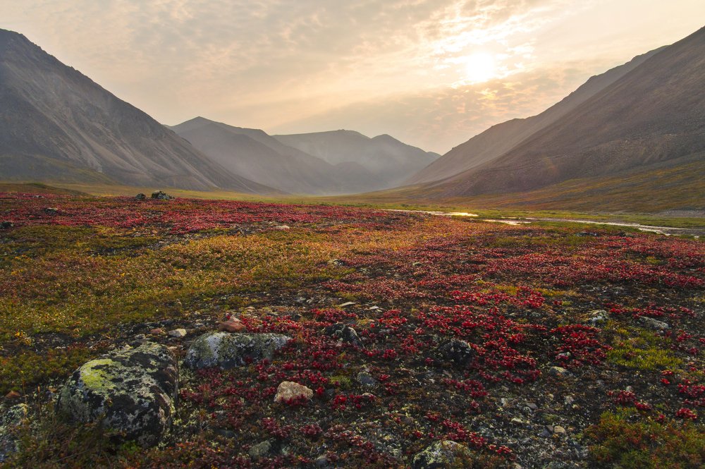 Photograph by Ирина Щеглова