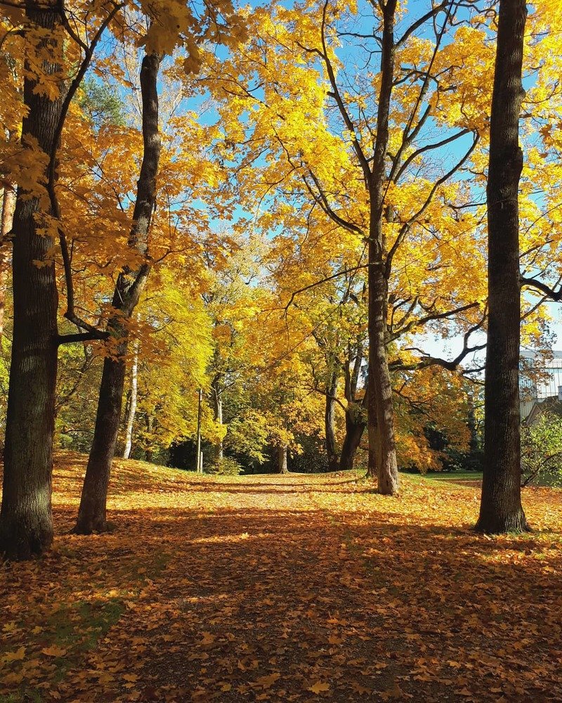 Photograph by Ирина Калюжная