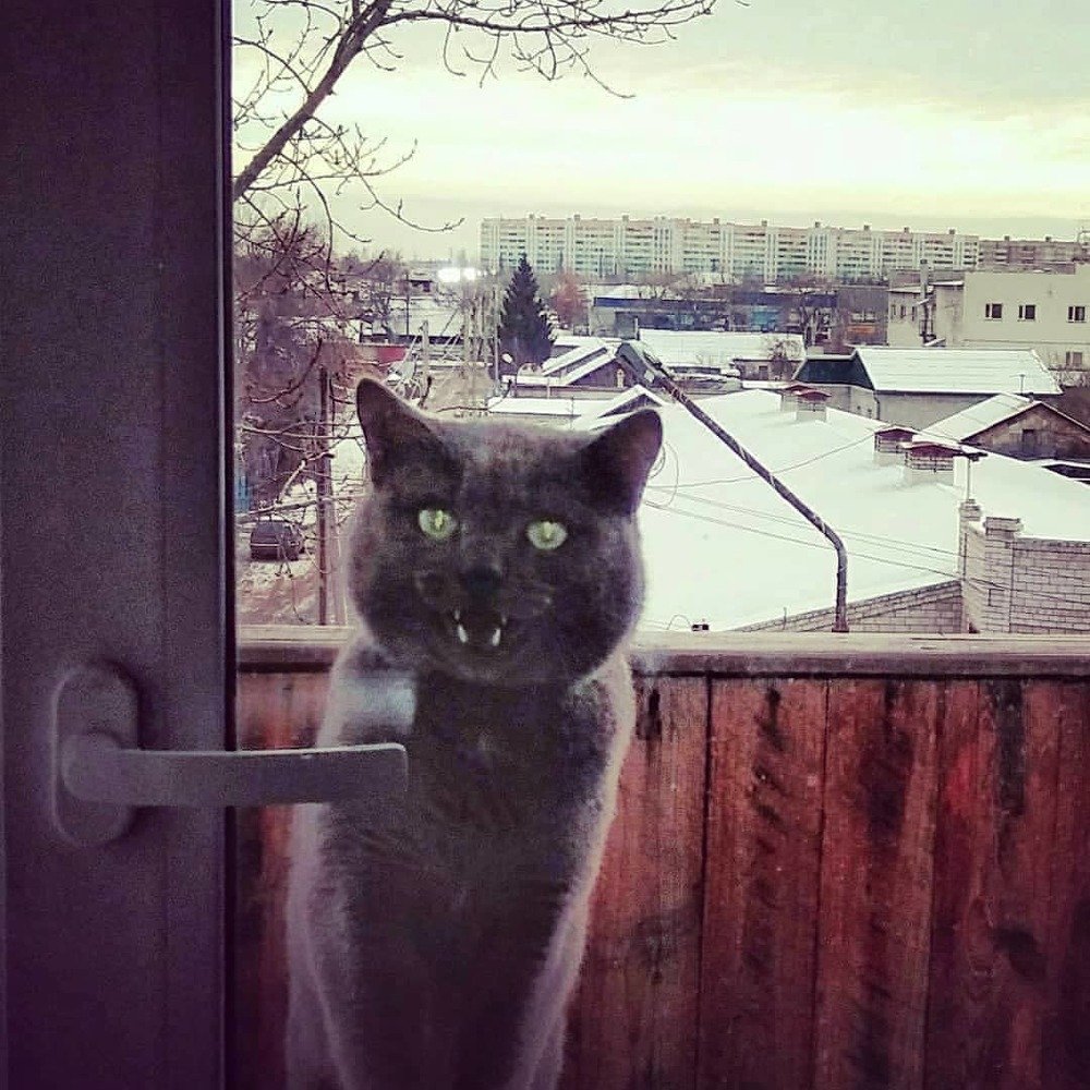 Photograph by Оксана Прокопенко