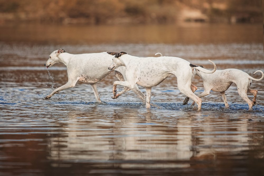 Photograph by Екатерина