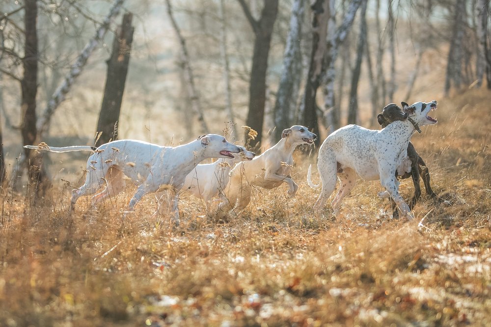 Photograph by Екатерина