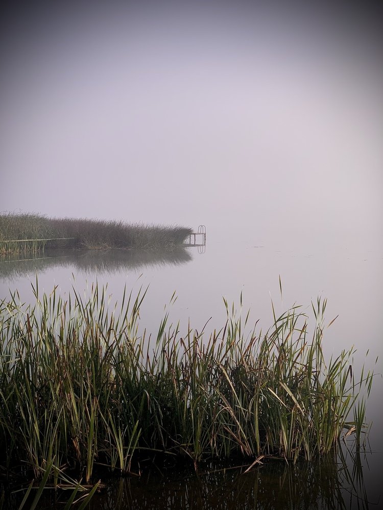 Photograph by Николай Курочкин