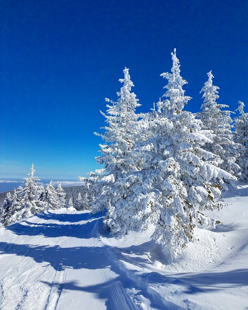 Photograph by Сергей Кесаев