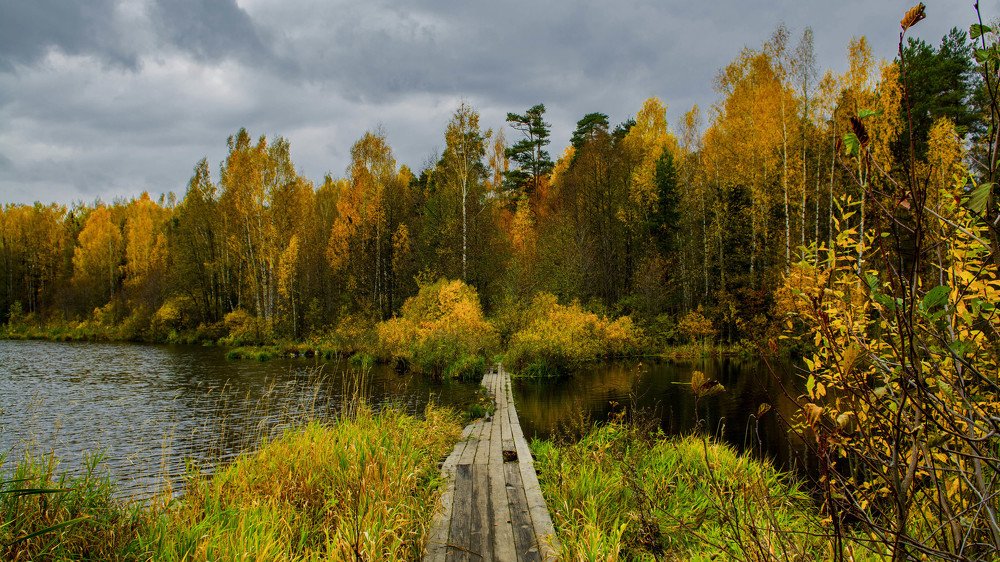 Photograph by Игорь Смирнов