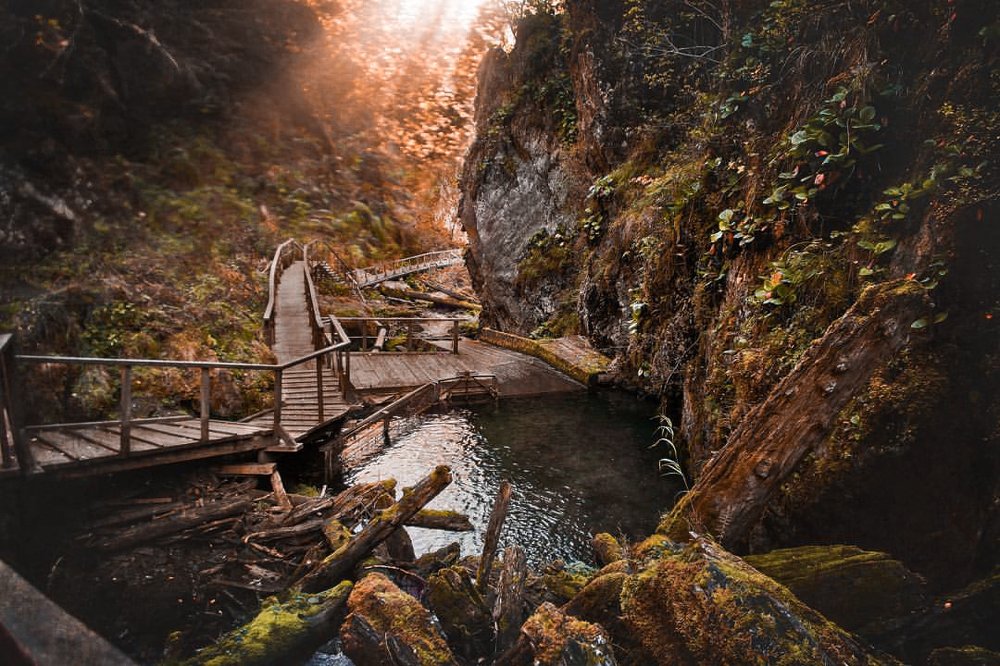 Photograph by Ольга Калимулина