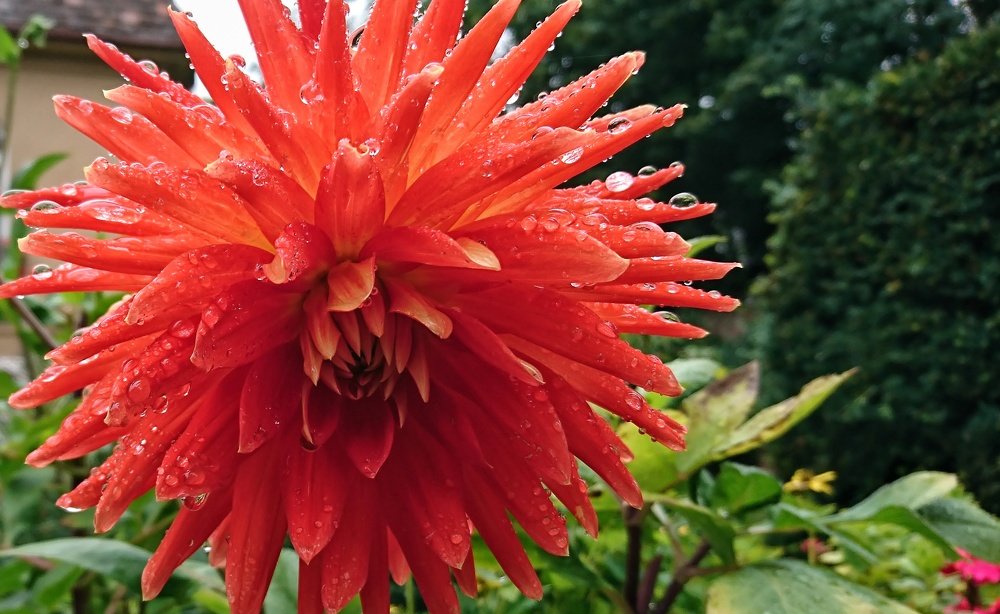 Photograph by Xenia Newman