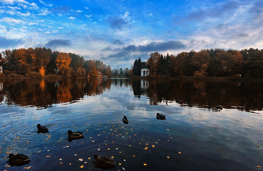 Photograph by Ольга Калимулина