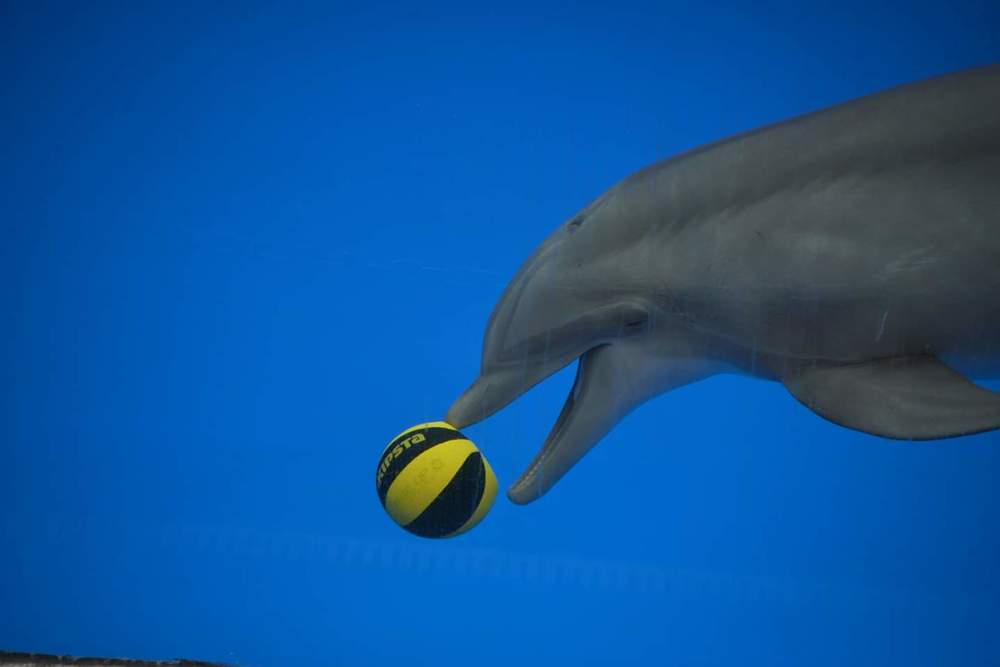 Фотография автора Anna NovaLova