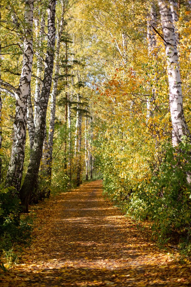 Photograph by Кристина Омарова