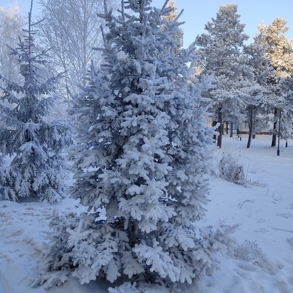 Photograph by Оксана Прокопенко
