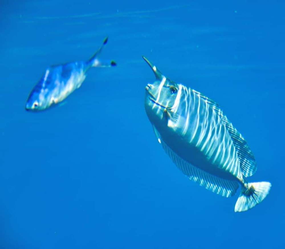 Фотография автора Anna NovaLova