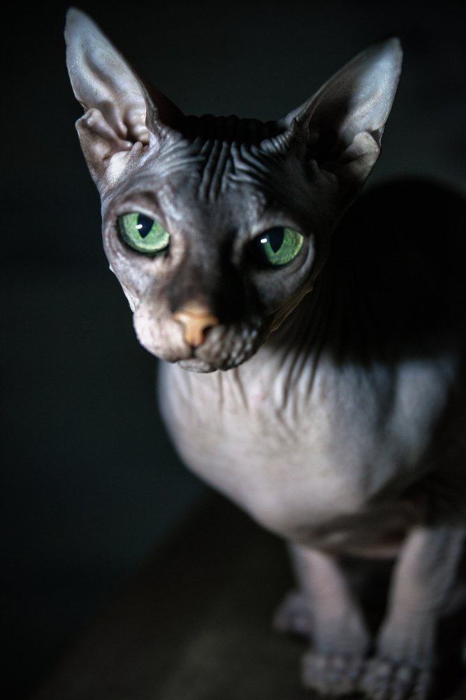 Photograph by Юлия Яровая