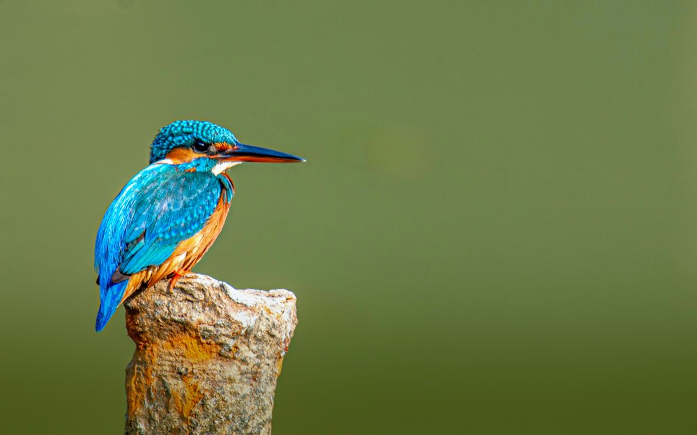 Photograph by Zayed Sanim