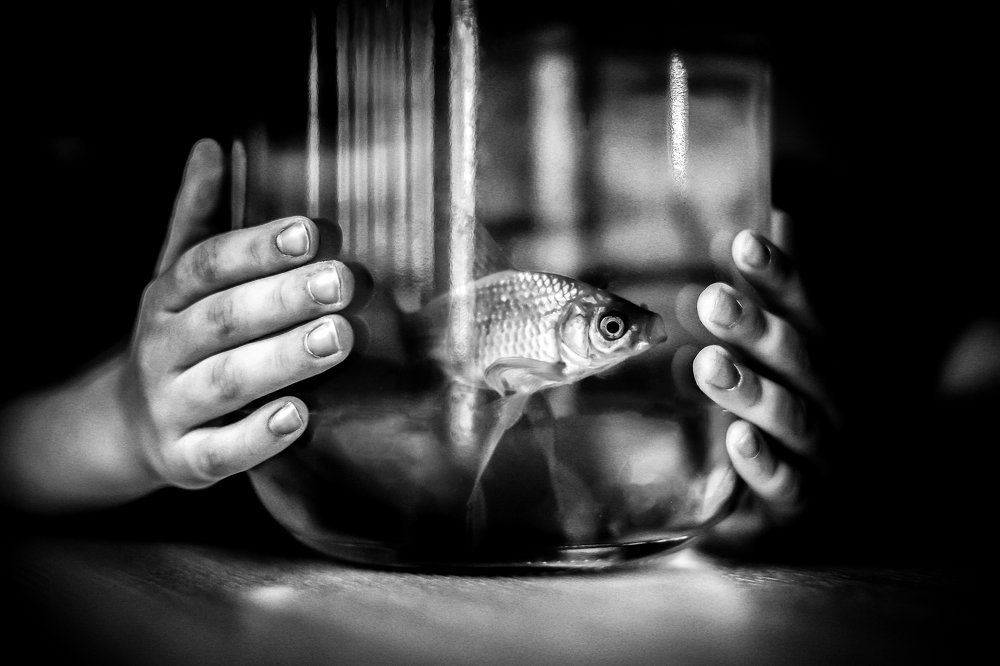 Photograph by Екатерина Нефедова