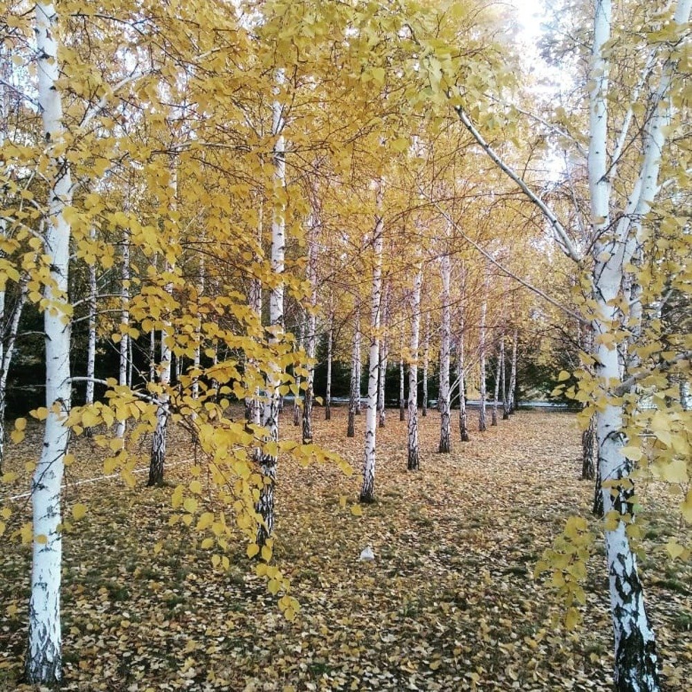 Photograph by Оксана Прокопенко