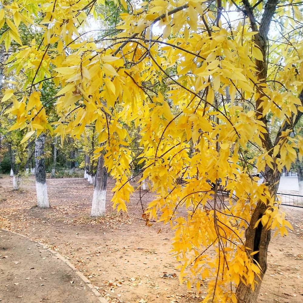 Photograph by Оксана Прокопенко