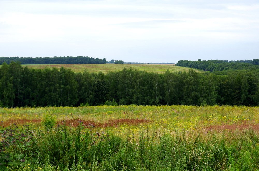 Photograph by Александр Шумаков