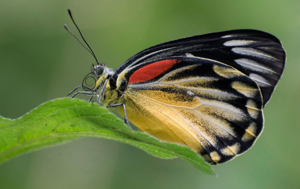 Photograph by Zayed Sanim