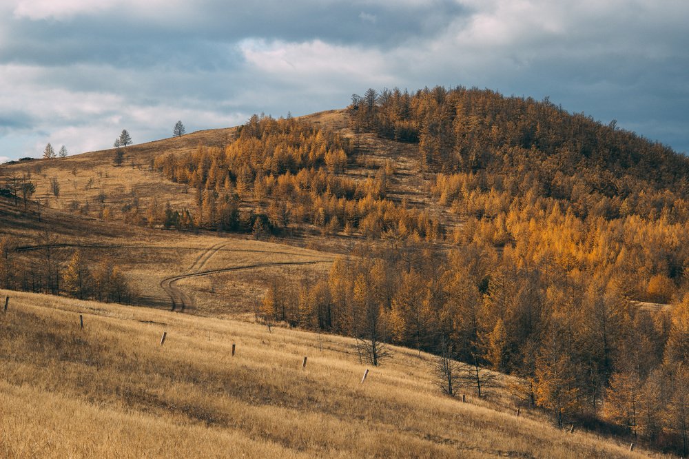 Photograph by Ная Моложенко