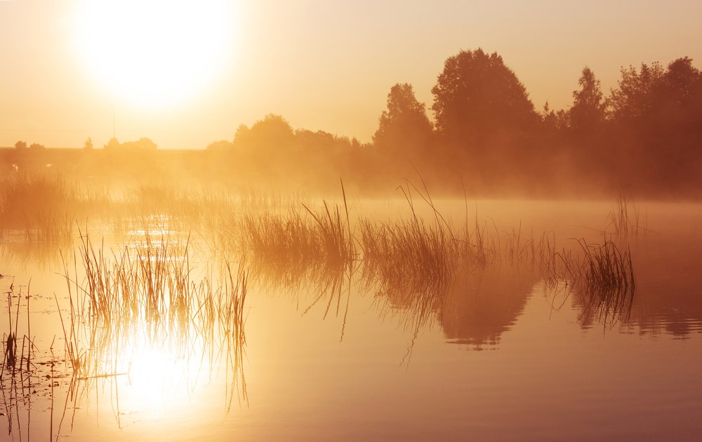 Photograph by Александр Яровой