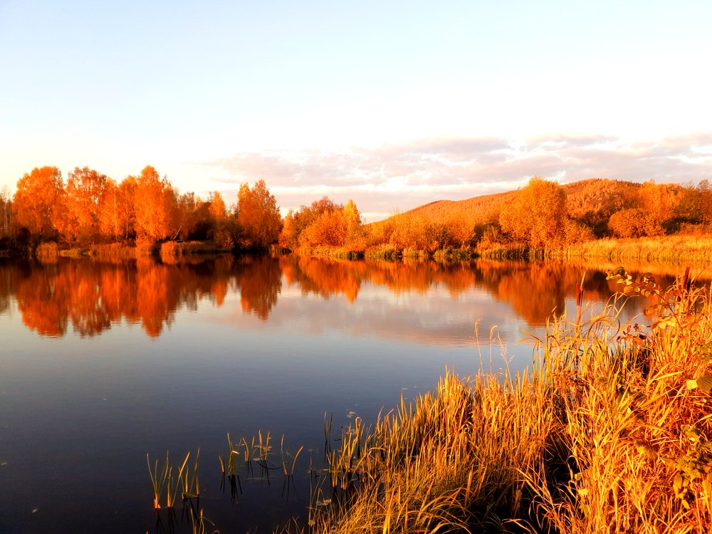 Осень 2020 года