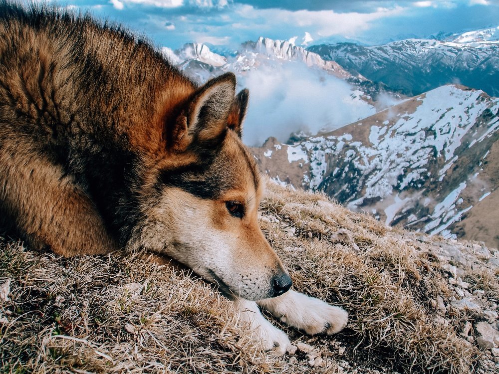 Photograph by Ольга Карцева