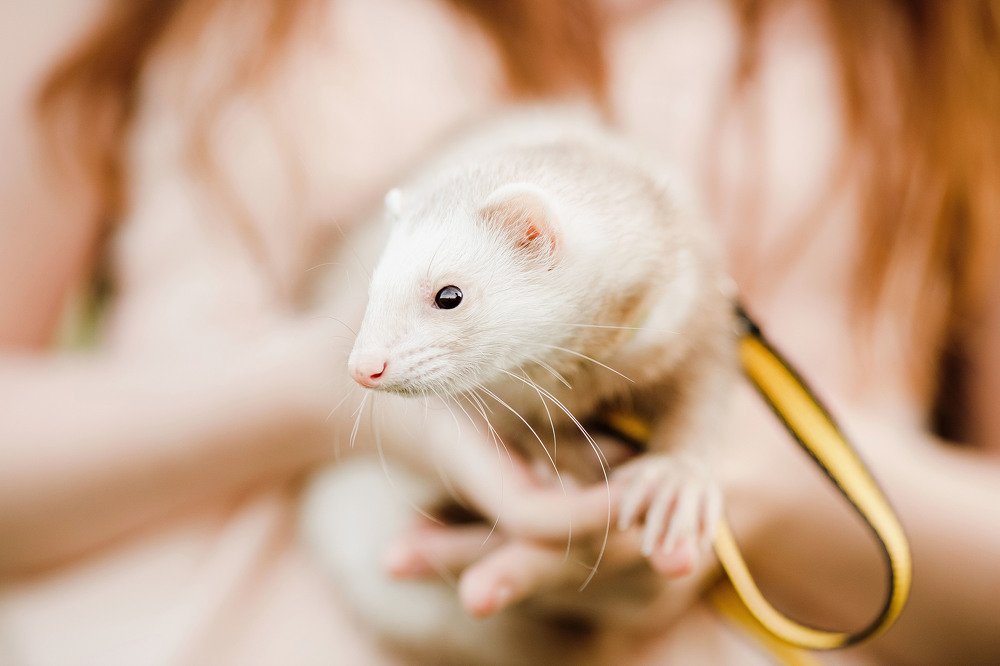 Photograph by Елена Горохова