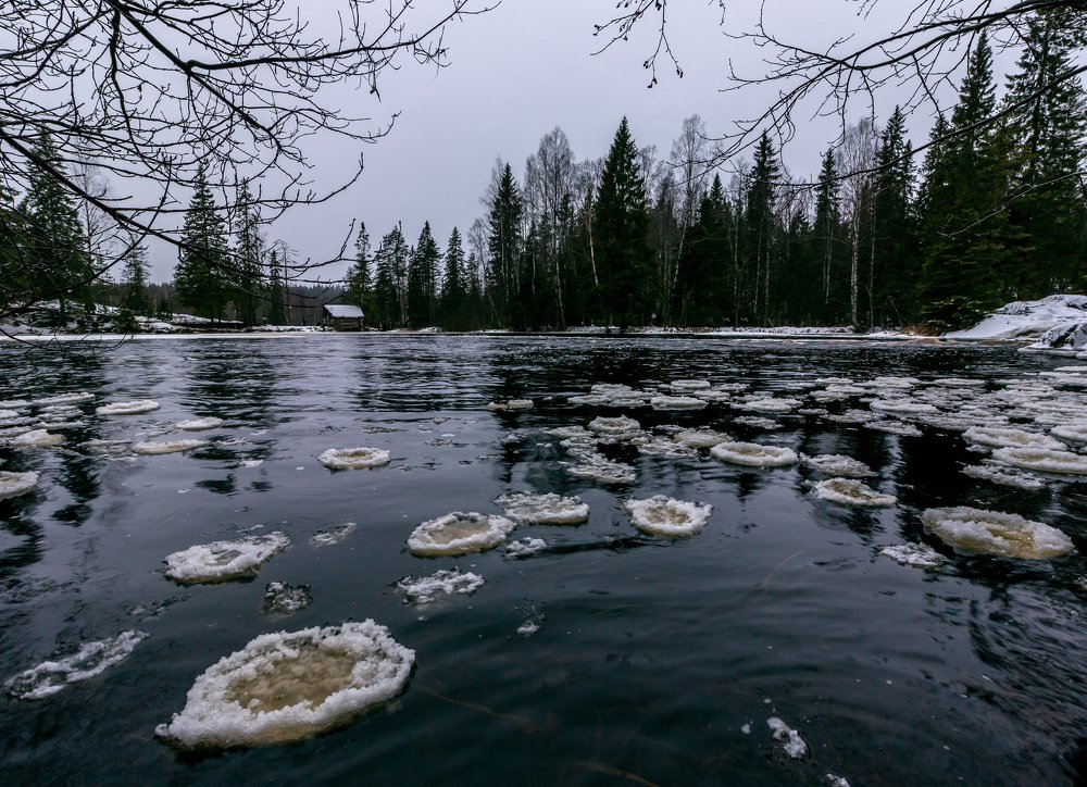 Photograph by Александр Яровой