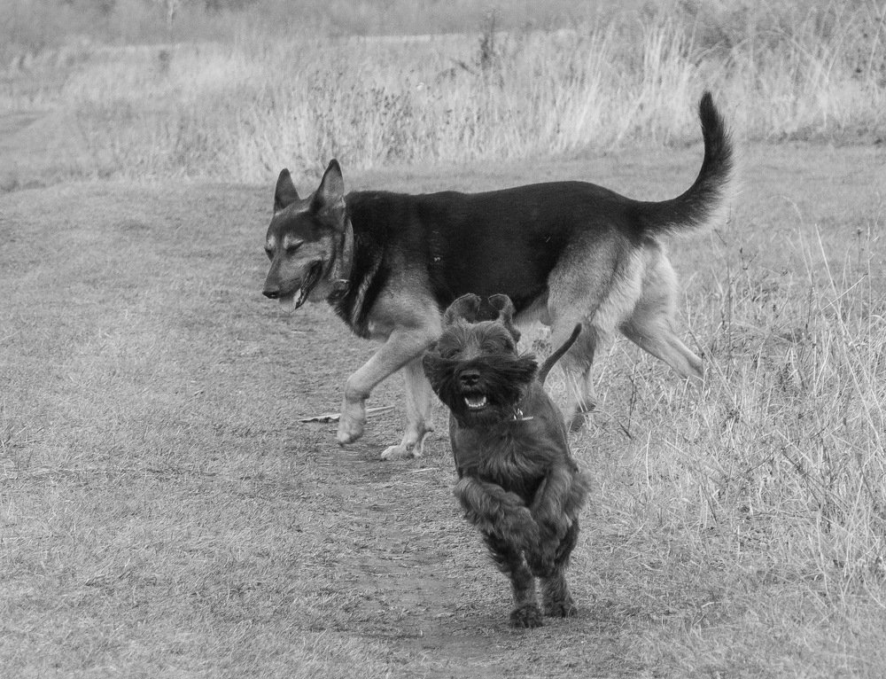 Photograph by Александр Халимов