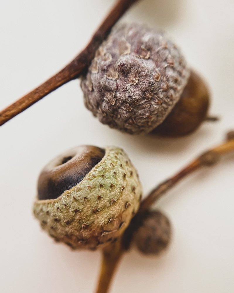 Different, but so similar...