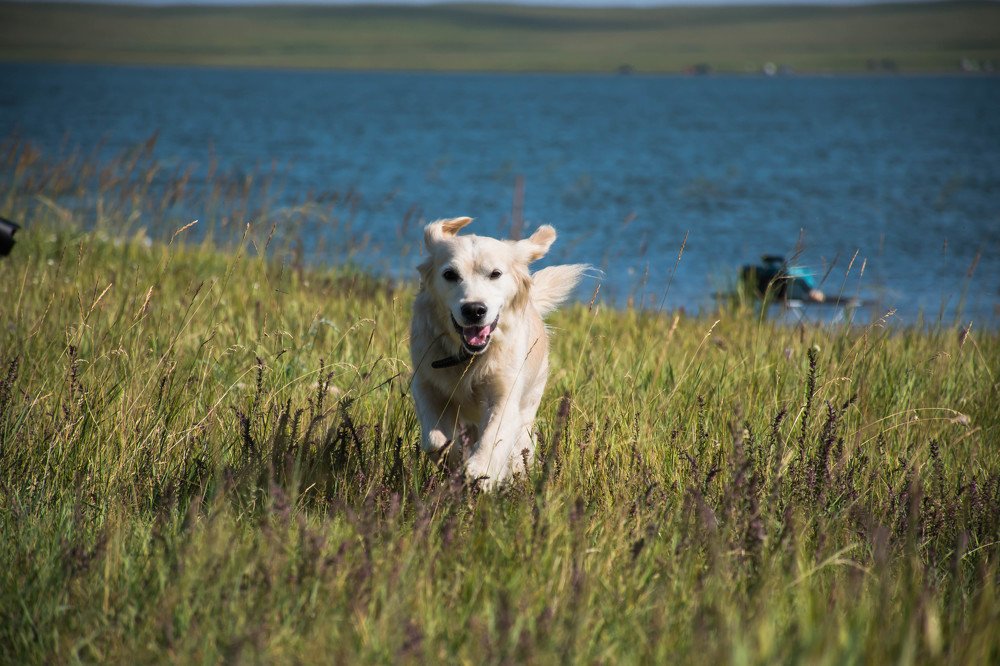 Photograph by Елена Прохорова