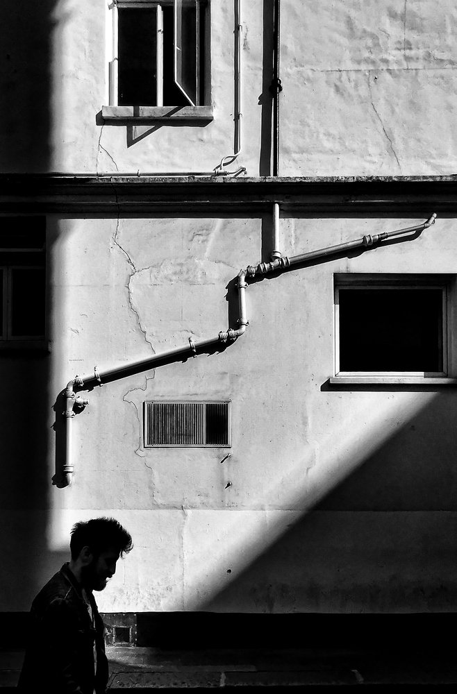 Photograph by Selaru Ovidiu