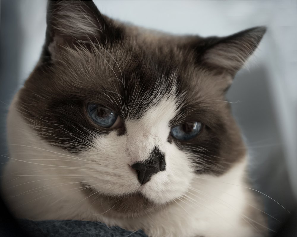 Photograph by Ирина Кленкова