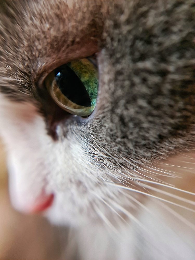 Photograph by Светлана Смирнова