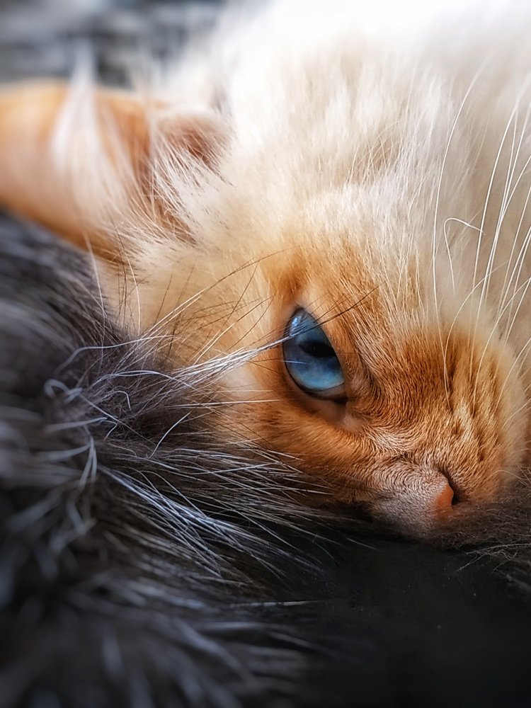 Photograph by Юлия Марфонова